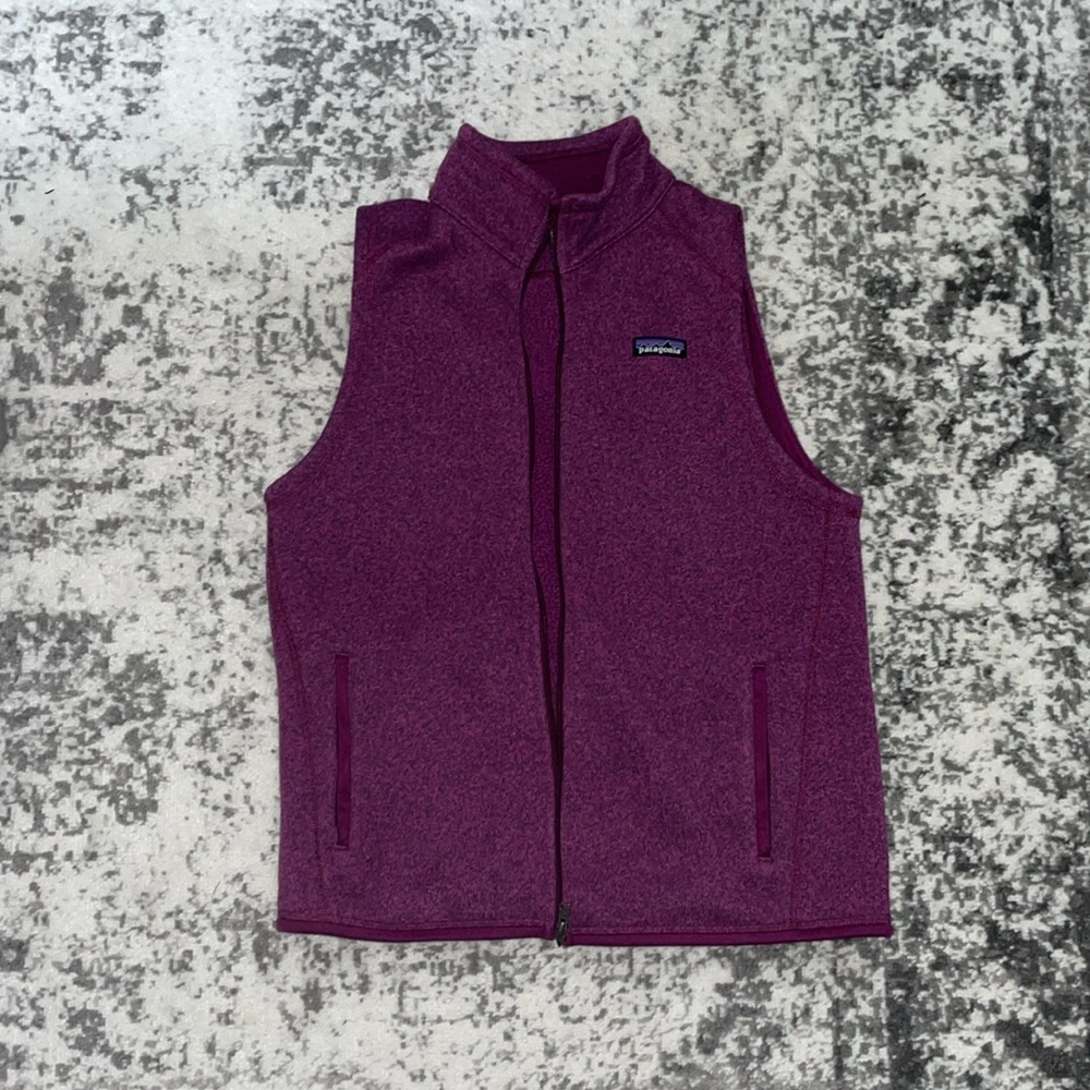 Patagonia Better Sweater Vest